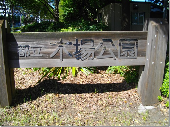 コスモス 東京 001 コスモス 東京 001