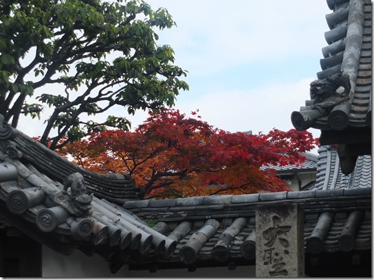 2016京都紅葉 002 2016京都紅葉 002