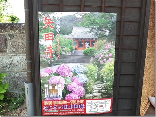 奈良・京都紫陽花２０１７ 002