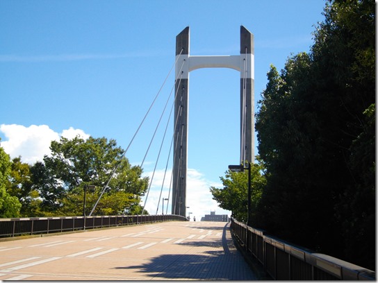コスモス 東京 005 コスモス 東京 005