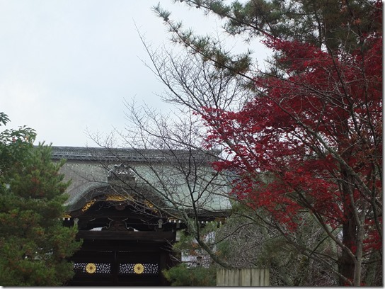2016京都紅葉 006 2016京都紅葉 006