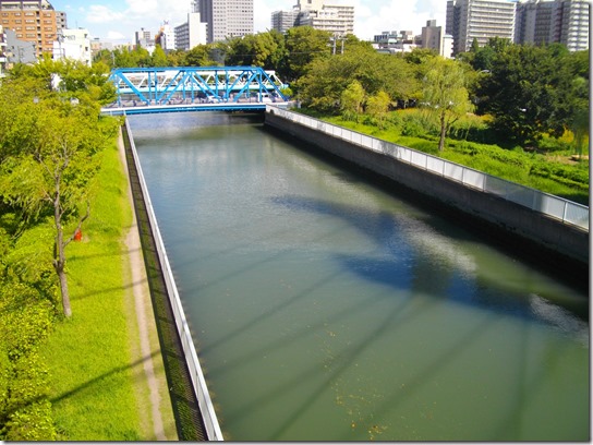 コスモス 東京 006 コスモス 東京 006