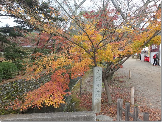 2016京都紅葉 007 2016京都紅葉 007