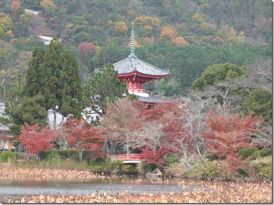 2016京都紅葉 028 2016京都紅葉 028