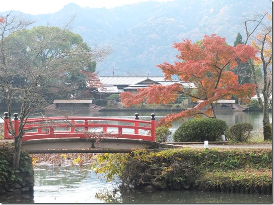 2016京都紅葉 052 2016京都紅葉 052