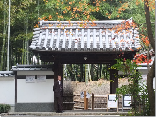 2016京都紅葉 060 2016京都紅葉 060