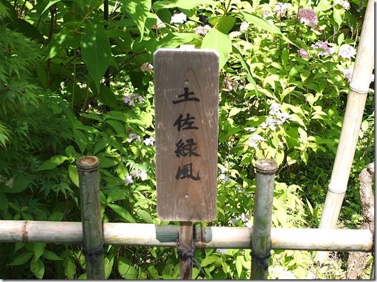 奈良・京都紫陽花２０１７ 070