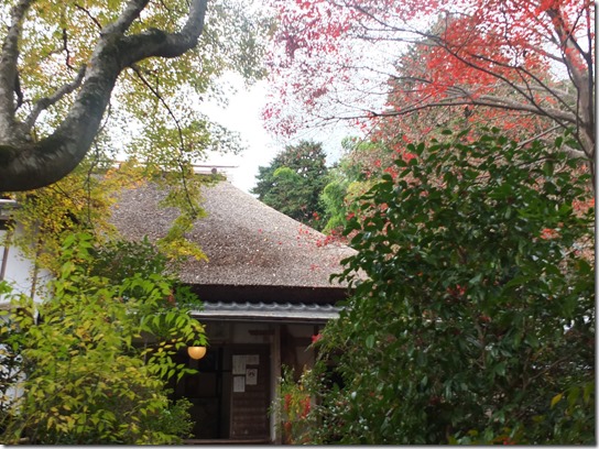 2016京都紅葉 071 2016京都紅葉 071