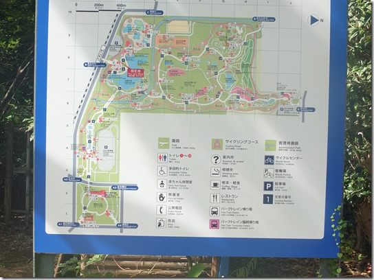 コスモス 昭和 084 コスモス 昭和 084