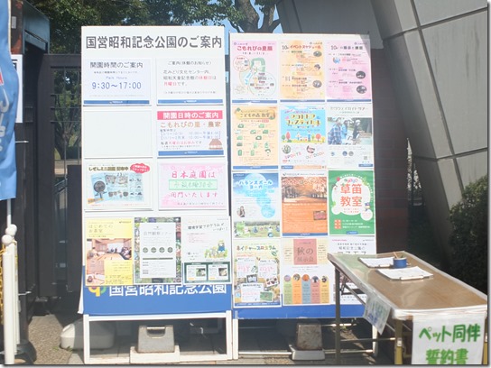 コスモス 昭和 085 コスモス 昭和 085