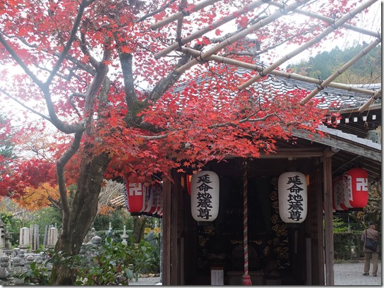 2016京都紅葉 160 2016京都紅葉 160