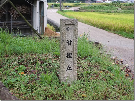 コスモス奈良 161 コスモス奈良 161