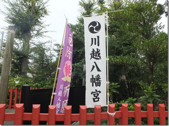 巾着田 167 巾着田 167