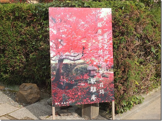 2016京都紅葉 178 2016京都紅葉 178
