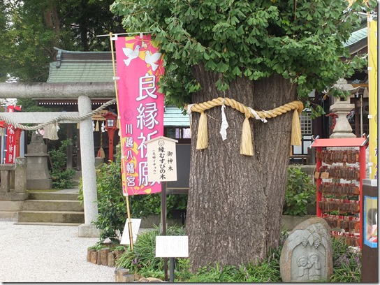 巾着田 189 巾着田 189