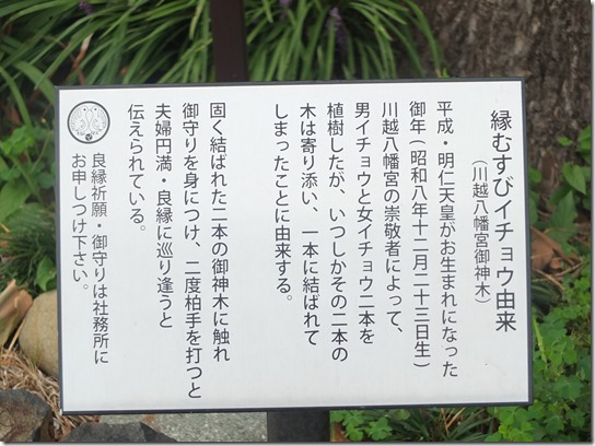 巾着田 190 巾着田 190