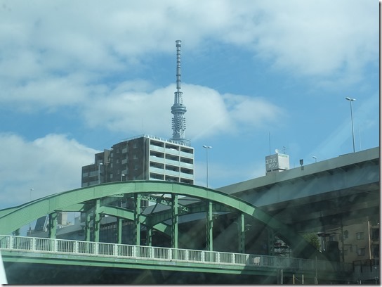 2017東京の梅 696
