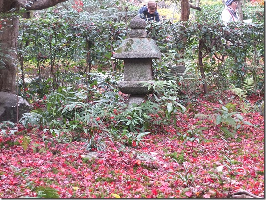 2016京都紅葉 201 2016京都紅葉 201