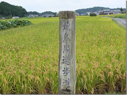 コスモス奈良 209 コスモス奈良 209