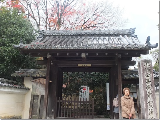 2016京都紅葉 224 2016京都紅葉 224