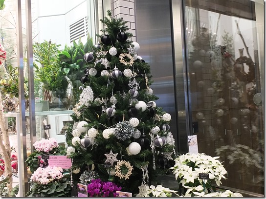 大阪 鎌倉 東京 224 大阪 鎌倉 東京 224
