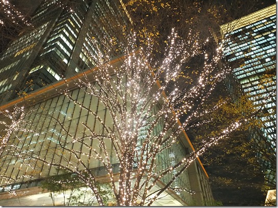 大阪 鎌倉 東京 239 大阪 鎌倉 東京 239