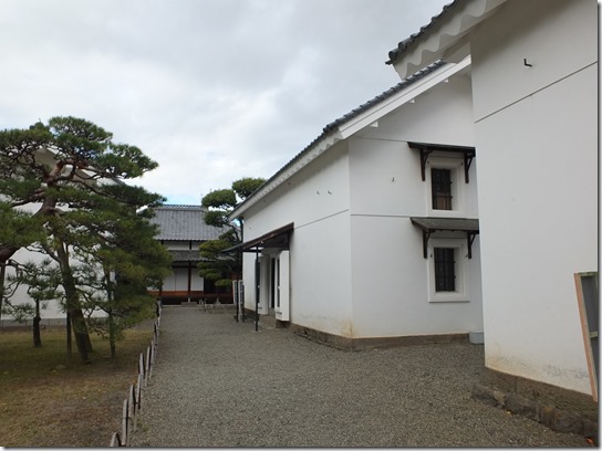 小諸 松代 250 小諸 松代 250