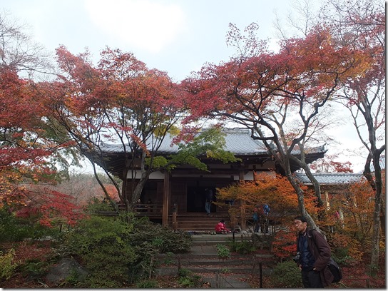 2016京都紅葉 266 2016京都紅葉 266