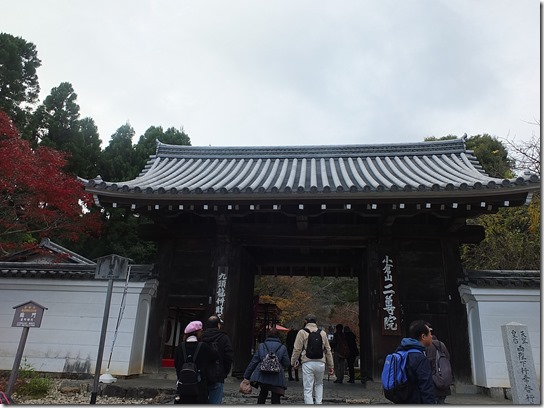 2016京都紅葉 271 2016京都紅葉 271