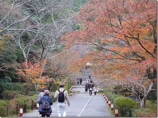 2016京都紅葉 273 2016京都紅葉 273