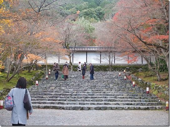 2016京都紅葉 279 2016京都紅葉 279