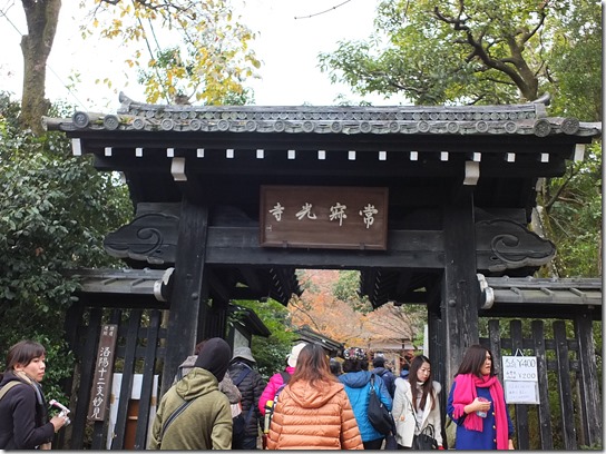 2016京都紅葉 326 2016京都紅葉 326