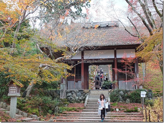 2016京都紅葉 328 2016京都紅葉 328