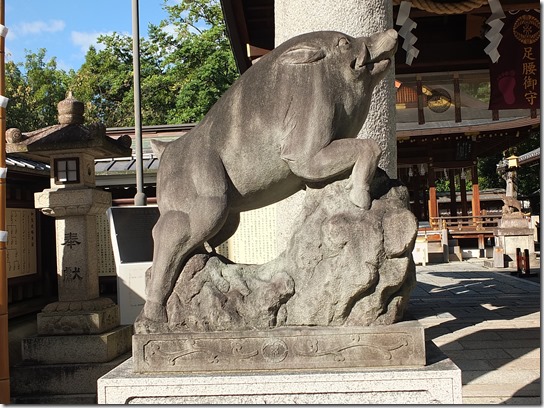 コスモス奈良 394 コスモス奈良 394