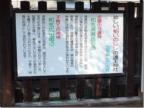 コスモス奈良 397 コスモス奈良 397