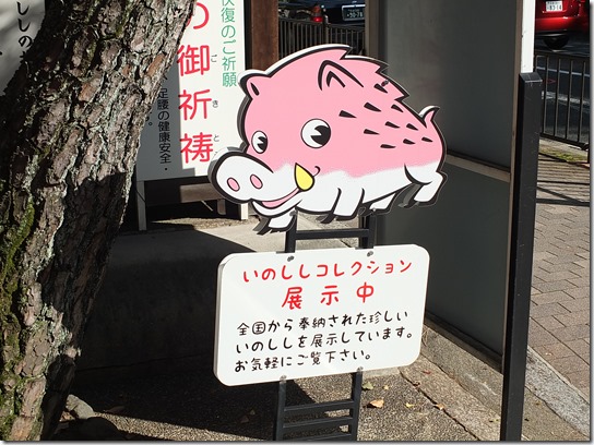 コスモス奈良 400 コスモス奈良 400