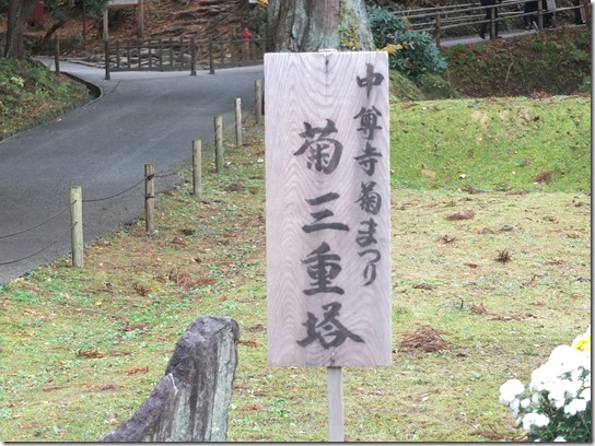 秋 東北 452 秋 東北 452