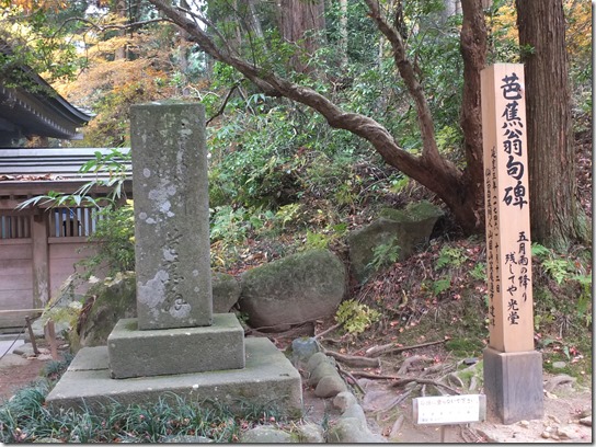 秋 東北 460 秋 東北 460