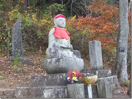 秋 東北 491 秋 東北 491