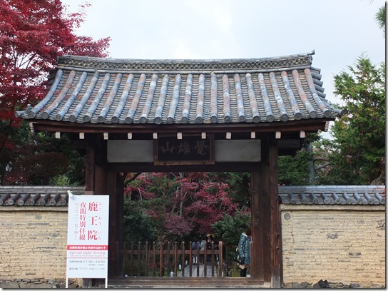 2016京都紅葉 515 2016京都紅葉 515
