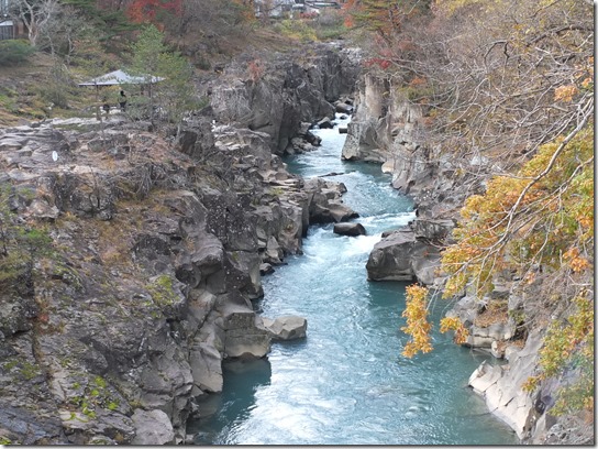 秋 東北 533 秋 東北 533