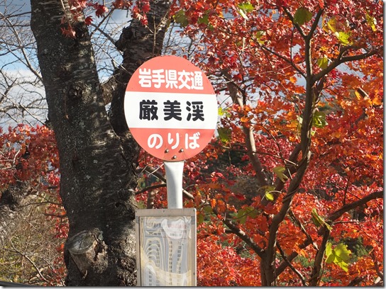 秋 東北 536 秋 東北 536