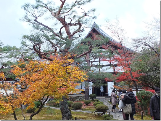 2016京都紅葉 536 2016京都紅葉 536