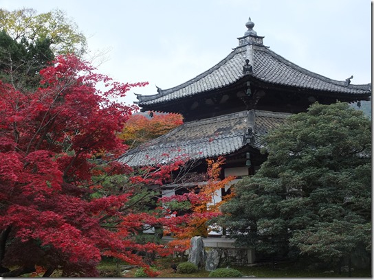 2016京都紅葉 573 2016京都紅葉 573