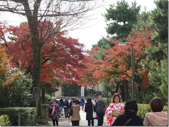 2016京都紅葉 713 2016京都紅葉 713