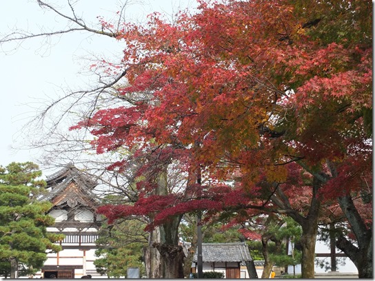2016京都紅葉 714 2016京都紅葉 714