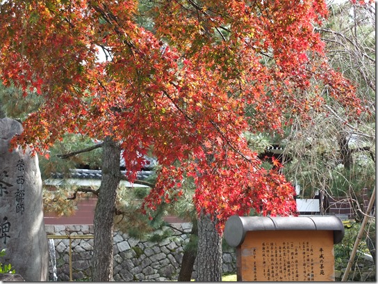 2016京都紅葉 721 2016京都紅葉 721