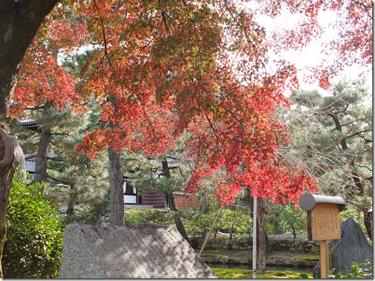 2016京都紅葉 724 2016京都紅葉 724