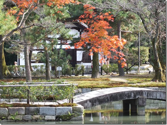 2016京都紅葉 741 2016京都紅葉 741