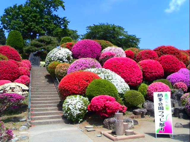 4195 中部日本一！鶴峯公園のつつじ＆信州の恵みを味わうフレンチ